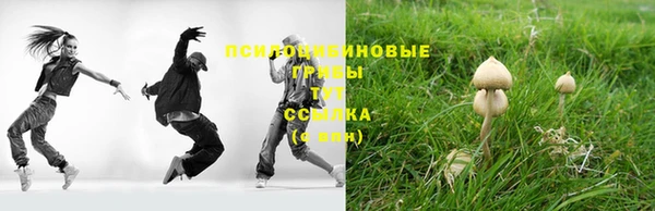 индика Абинск