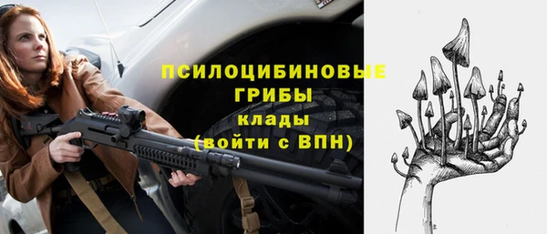 индика Абинск