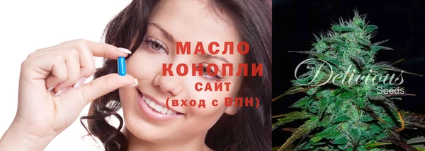 индика Абинск