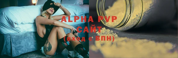 индика Абинск