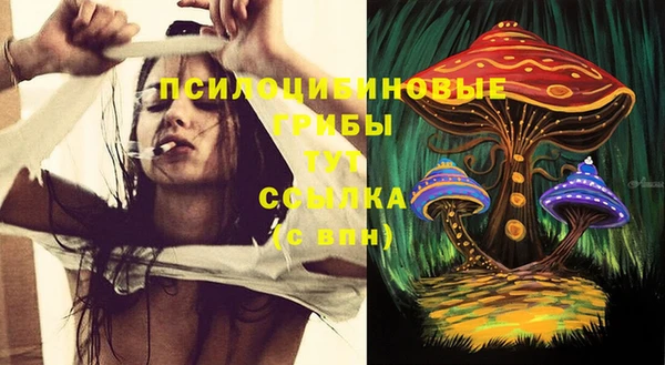 индика Абинск
