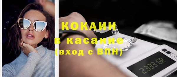 индика Абинск