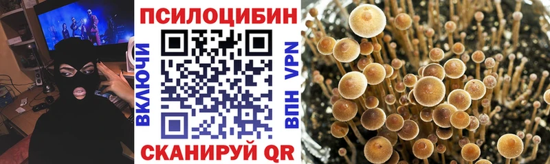 Галлюциногенные грибы MAGIC MUSHROOMS Кингисепп